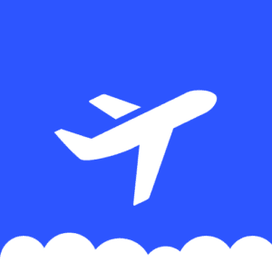 Google flights